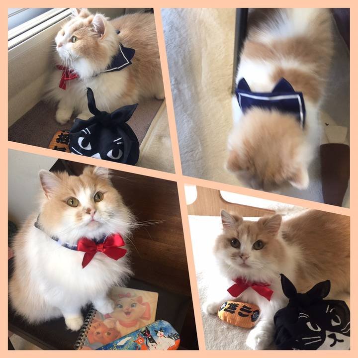 A59bf3a9 cca4 4962 93a7 15a8fde6fbd8 1558147026346