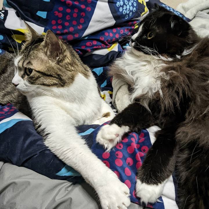 A59bf5df 2f8e 4356 97be 4c276e8acbaf 1670026077786