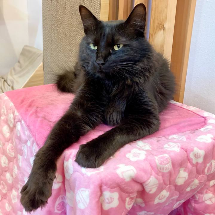 A59c1db7 7b79 43ec a12d 6e9ec3f2842b 1743395849809