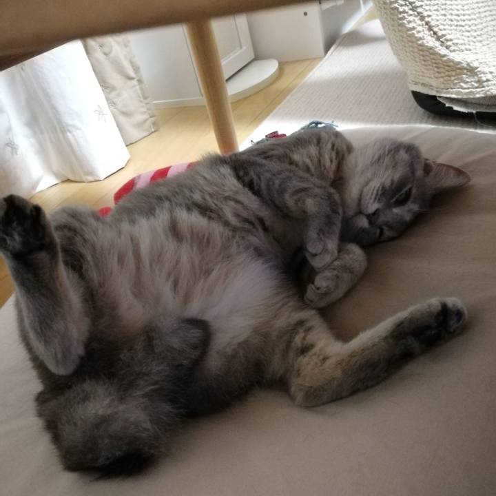 A59c38e5 9c42 4d77 94af 527ff73118a3 1530015240074