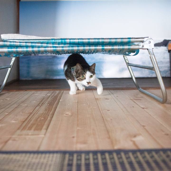 A59c3dbe 2847 4871 a03a ea7165533225 1569635481157