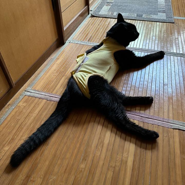 A59c43ea 2b0c 459e 9170 c59db8bcdfe6 1721351736002