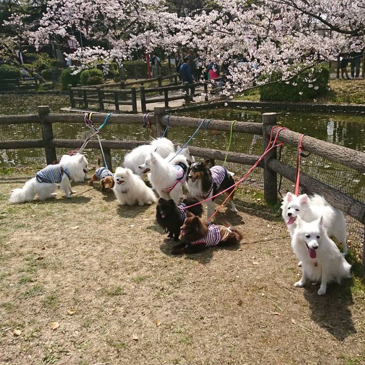 A59c53e3 28b5 4ab2 b6cb 6e99e2df0dea 1554623175477