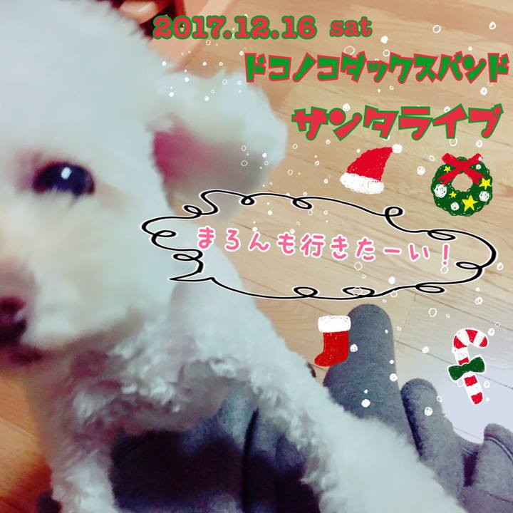 A59c77b9 60a0 443f bfc6 fd5b4786b4a9 1512395953202