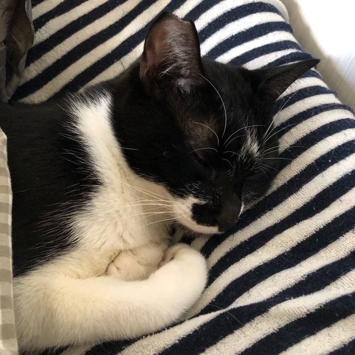 A59c7b14 0791 49f9 b57a 5406e9f2d384 1607529146480