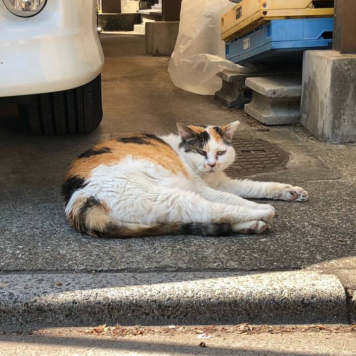 A59cb5de b8bb 4c0d aba5 fc9ab8367c99 1652697107352