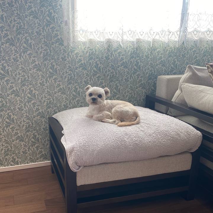 A59ccff5 428e 4aaa 8ceb 631ba404db3e 1602590042366