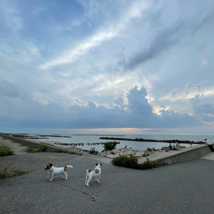 A59cd0d6 1dd4 41b1 bee3 dcc0e7bd45ac 1689118491956