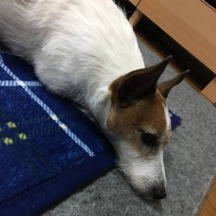 A59cf092 1ba0 403d aae3 e52259d4b444 1560297045075