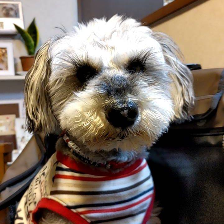 A59d6924 c904 4938 ab75 8454b1e92892 1741825449739