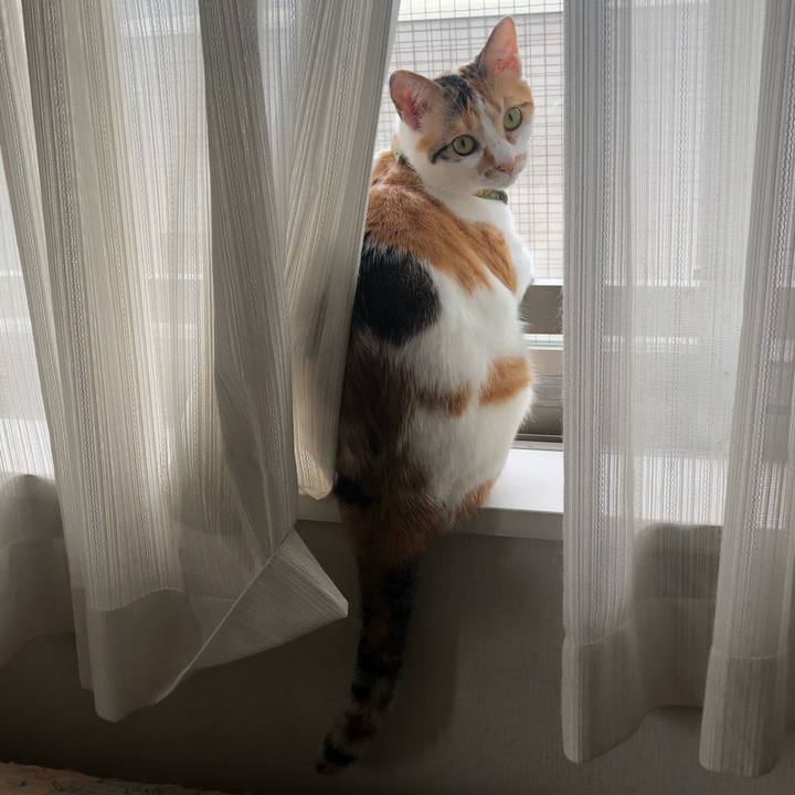 A59d9a06 32b2 4c0b adba 7dbd253a9de8 1596755781188