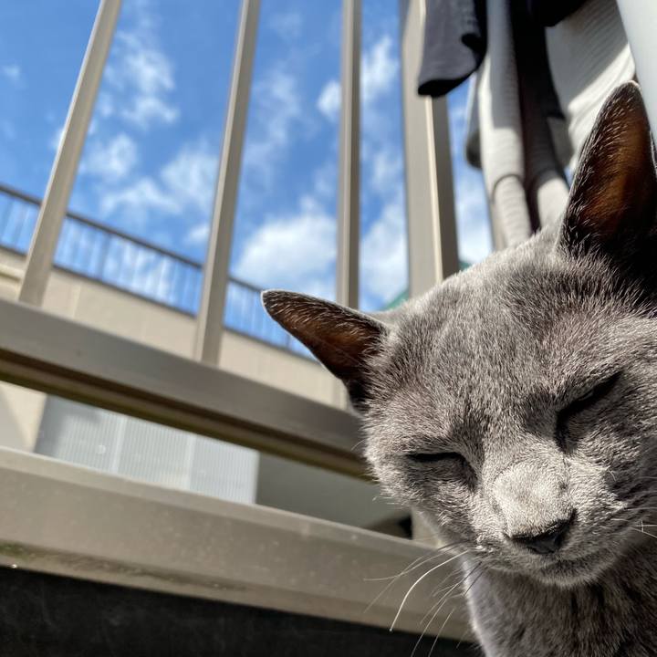 A59dc770 46b5 4f0b 8cde a96328aa6080 1589084762417