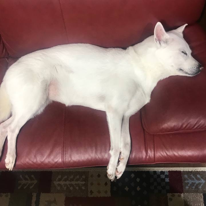 A59de75a 9bd4 4502 8e9f 0817c8928ce5 1535256571919