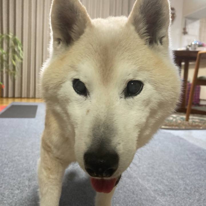 A59e06f8 ed96 4b06 9040 a9ecb40ffab1 1755521271147