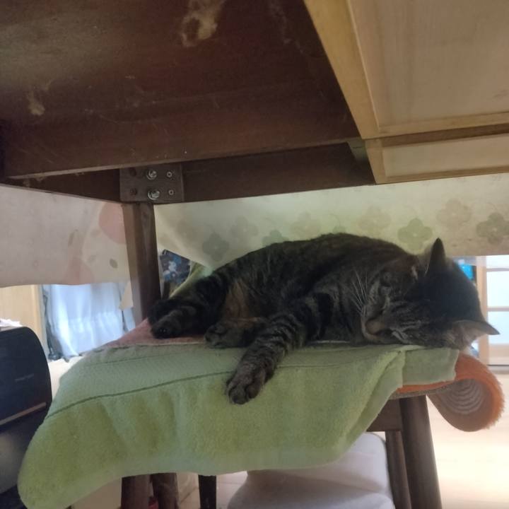 A59e1d39 55d9 40c2 ac5c 3899cd5d7b35 1708902647387