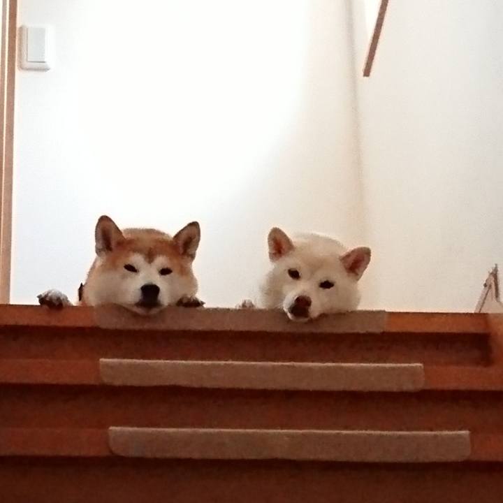 A59e281a ef5e 41c7 99c0 64b19c43821b 1539073372226