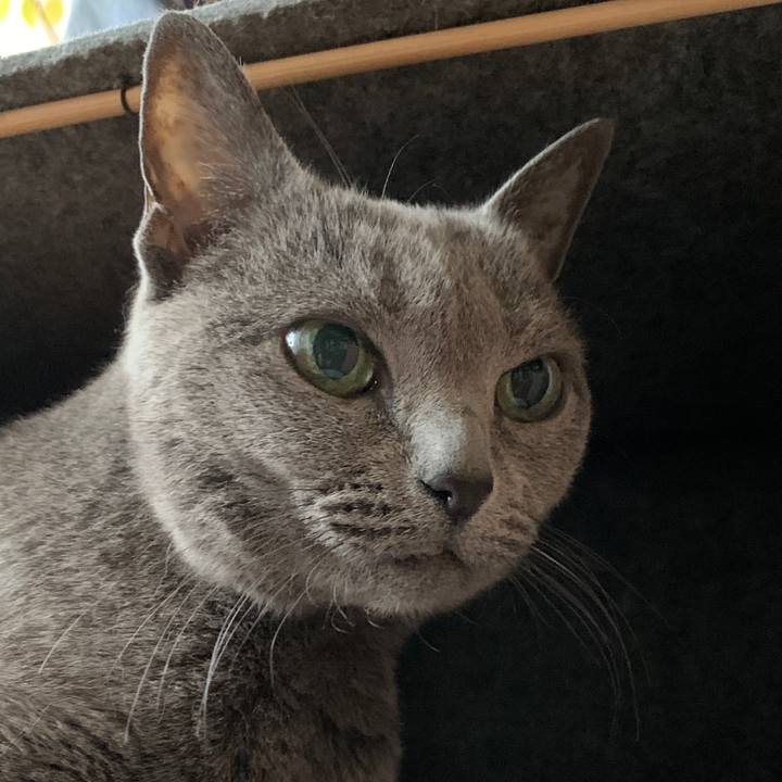 A59e34db 6470 41f5 8df5 2a5001f97720 1577399715491