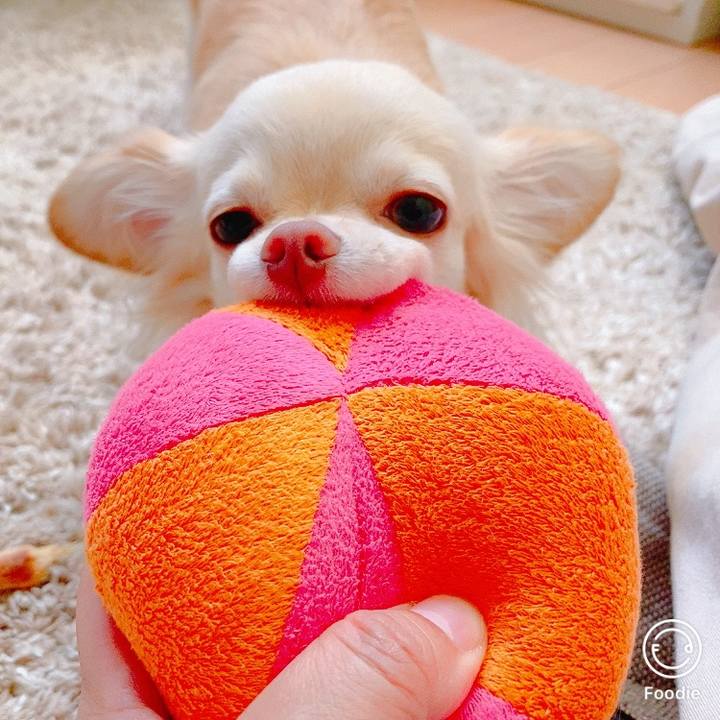 A59e440f 8007 4978 8af3 78e6d4fd6f0f 1626574496662