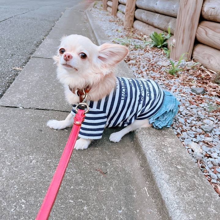 A59e5a05 f93f 4e71 9b0d ffc942a41984 1662716062137