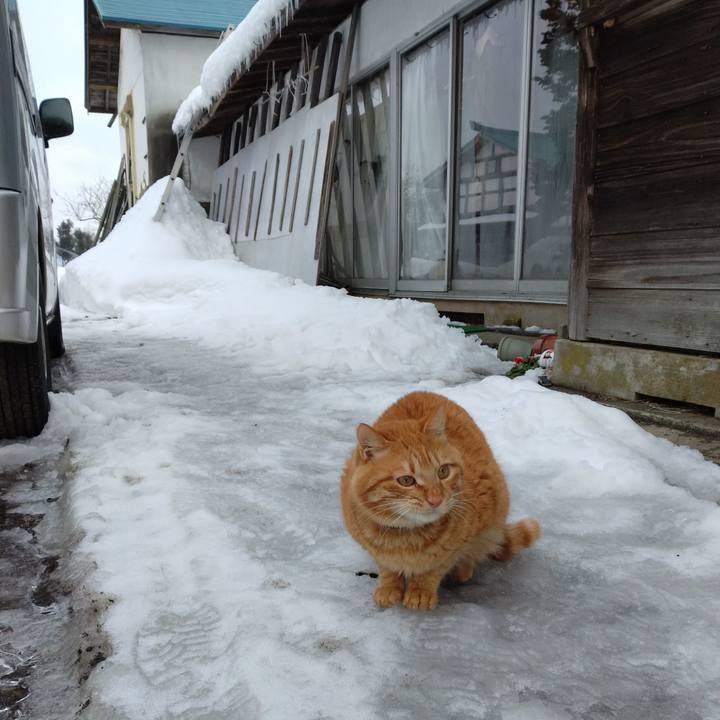 A59e639b d04f 4a97 8b9c 48553b9c7a5d 1673220416294