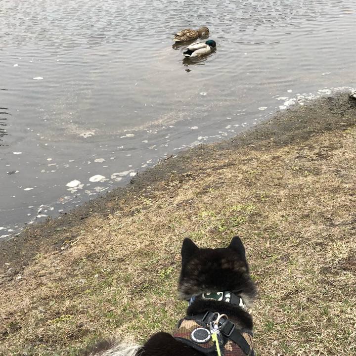 A59e6737 d18a 4ac9 9d46 47c71620ce7d 1523747444085