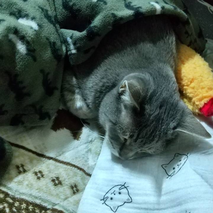 A59ea4a4 ed09 4913 879e b5d17d42a73e 1679092211872