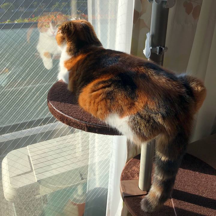 A59ea6d6 a73d 4bbb a54a abbc25cd85c0 1543567920652