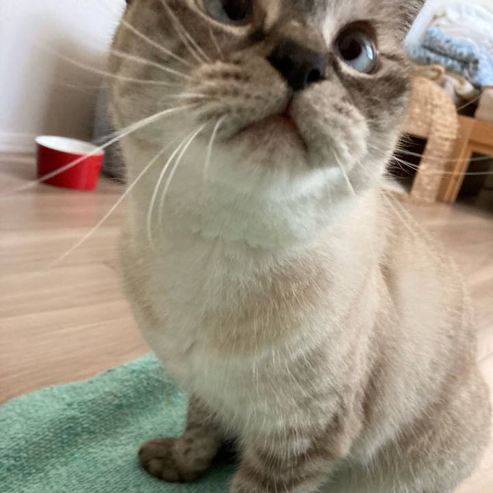 A59f0499 9a64 4f93 9bb6 b4da70d44278 1726285463034