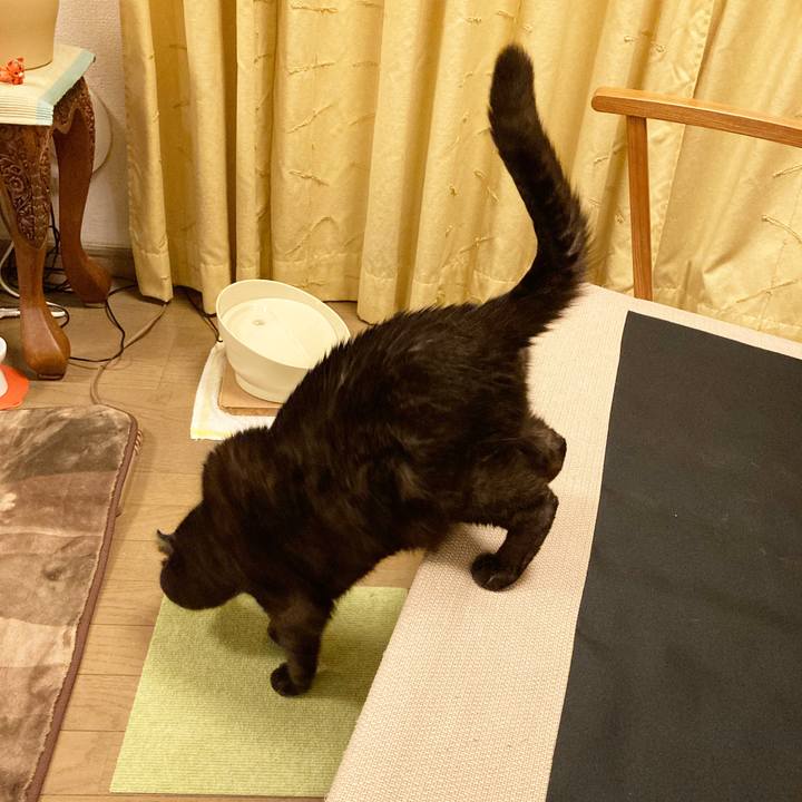 A59f3556 fc5d 43b1 8127 acd4c2baa73d 1612364216593