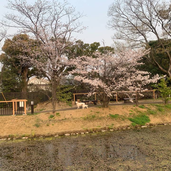 A59f3a15 6627 41c0 b2bb 7e4528dae5f1 1554642023950