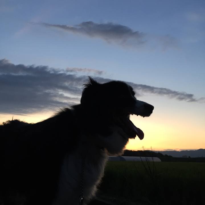 A59f4db8 af28 4ac0 bc93 7bff14f75475 1568027242276