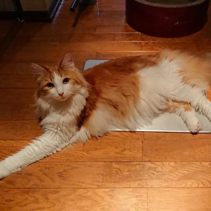 A59f7d79 be04 45d7 9904 966196b4e3d7 1530673317521