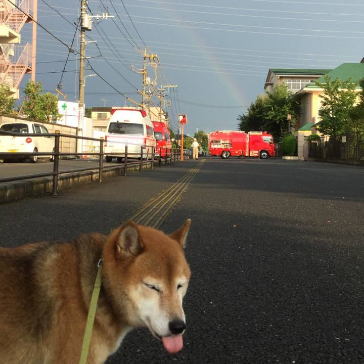 A59f8b8d f3e6 4786 8f93 be05e609953e 1597307816578