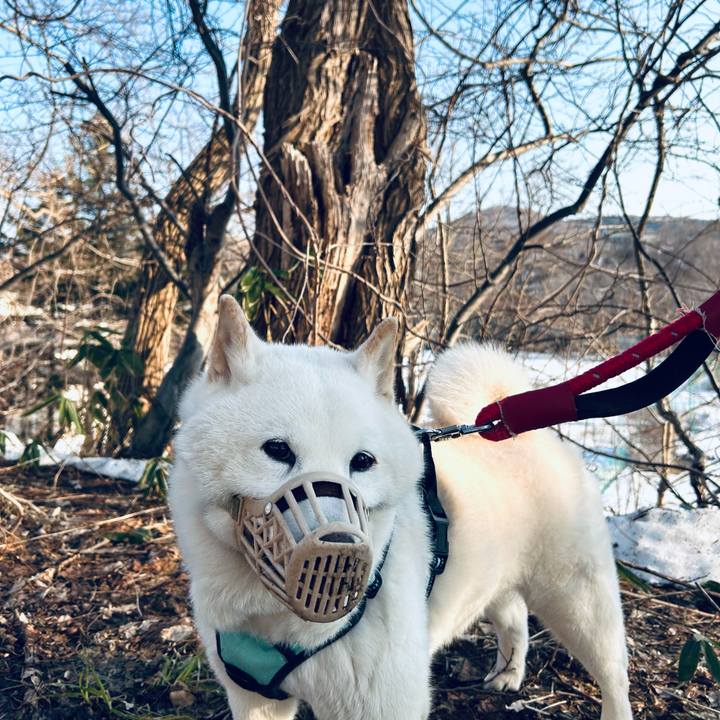 A59fb6b2 63ed 4c86 93a7 96df8368f3de 1743805266983