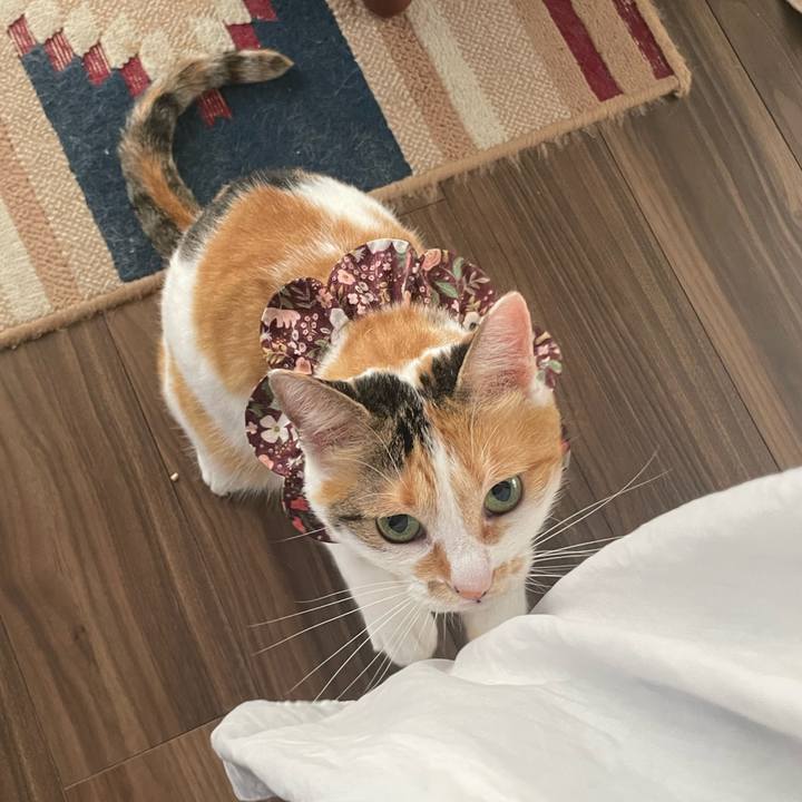 A59fc8d1 2816 4753 ac88 e6963e54a995 1754526743853