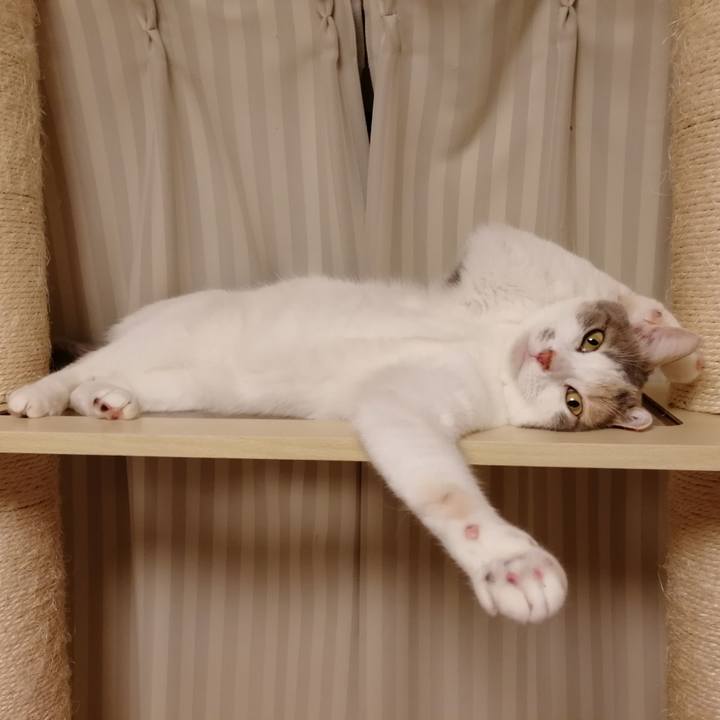 A5a07470 4f17 4929 a968 84fda42ac137 1582973070911