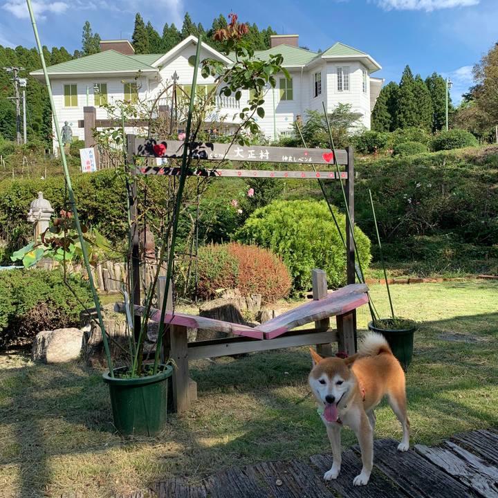 A5a0801b 8d5d 4318 b9a9 774a5c170d02 1600686521014