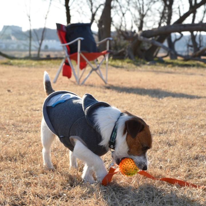 A5a08a9b 6617 4414 80b5 e9ab2dae2fde 1516018884911