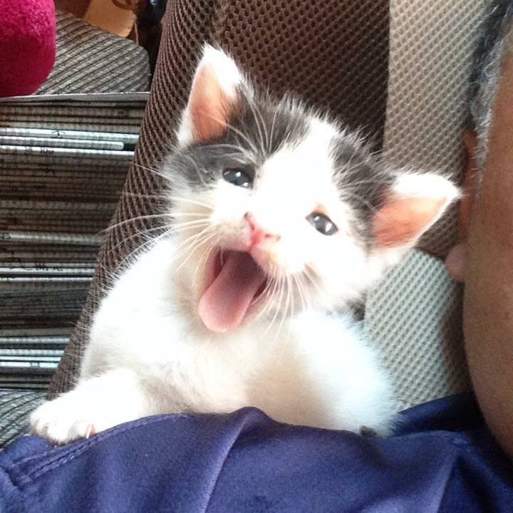 A5a0922c cb94 4696 bf1f 3c58d3b02934 1530800061020