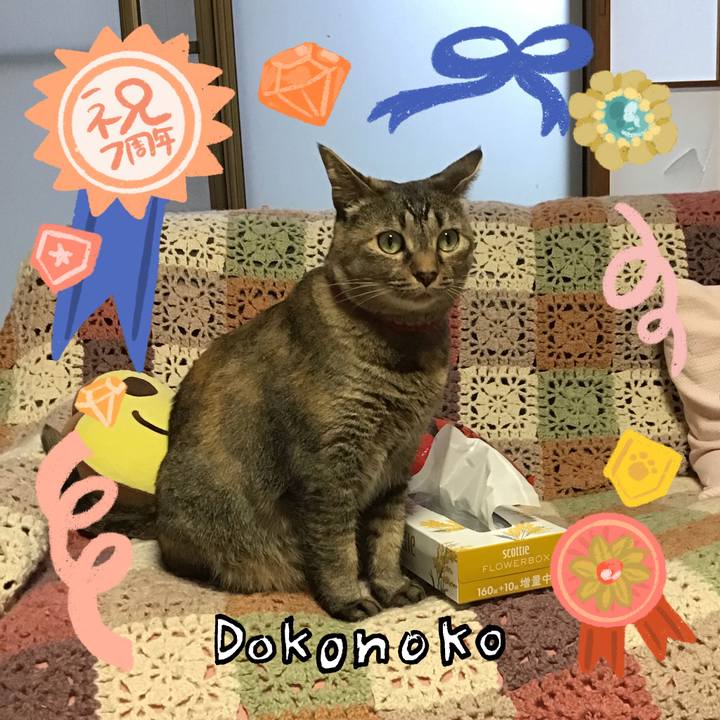 A5a0d0ee 0661 4512 bab2 5408a877e7c6 1685963176126