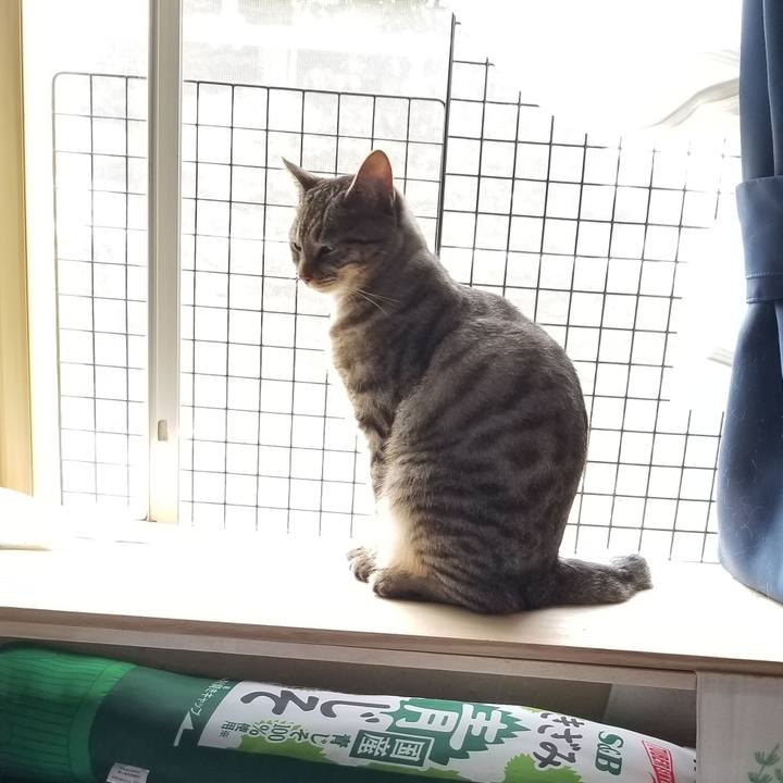 A5a0e5ae d061 440f 804d cde0711fe48a 1690260690122