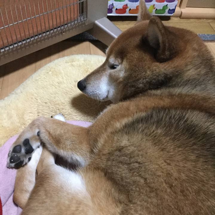 A5a11abd e1b0 43ec 89de 338a65c0a93c 1582809126073