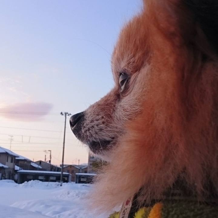 A5a12aa7 cf54 49e7 a348 ff57243f374c 1524996575453