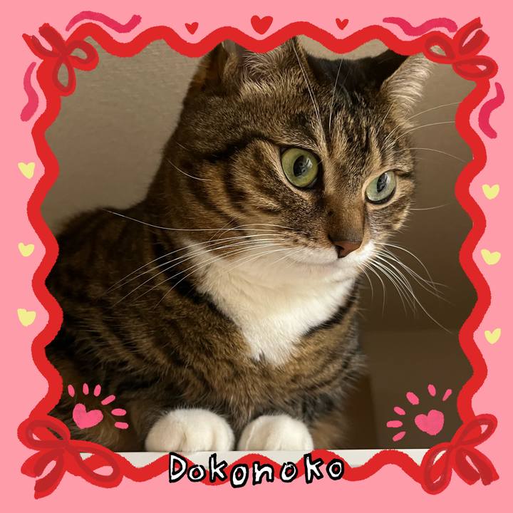 A5a12c5c 49d7 4cbe afcf 1bca205c33b3 1707052007748