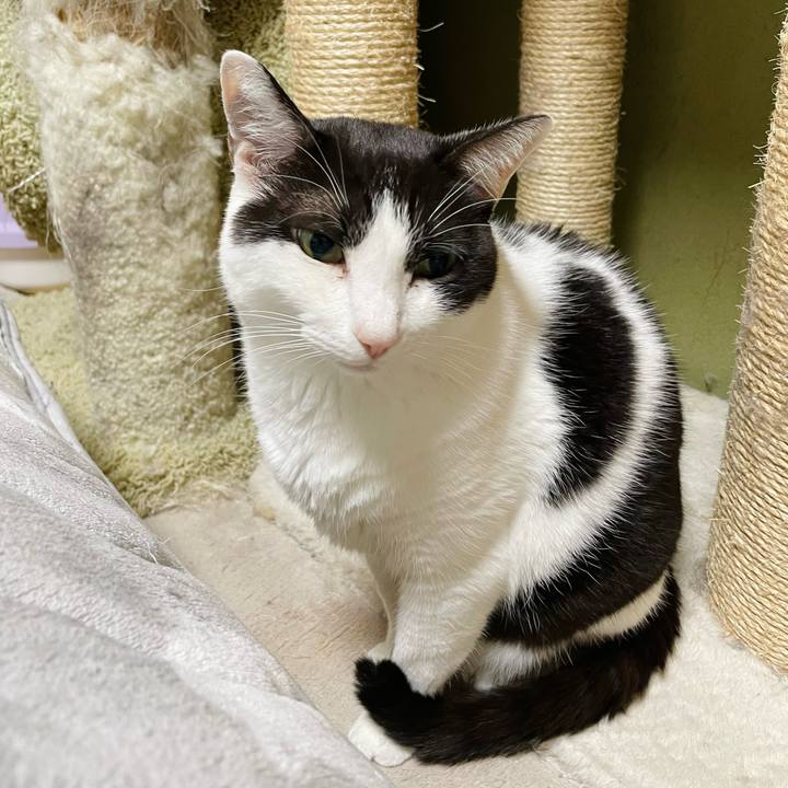 A5a1a0bf 5f3d 4011 a2ca 9a0f278041ff 1637462346204