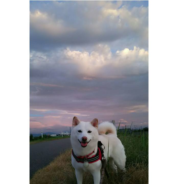 A5a1d072 89e8 4543 af2f 788b697e0803 1532775419812