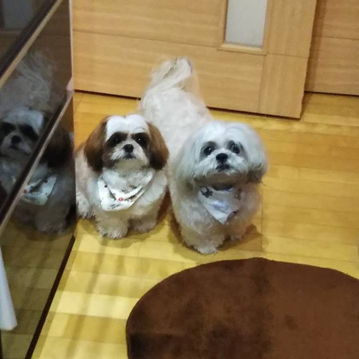 A5a230a1 dfc7 4dae b5e2 5c299d7f8977 1560403874651