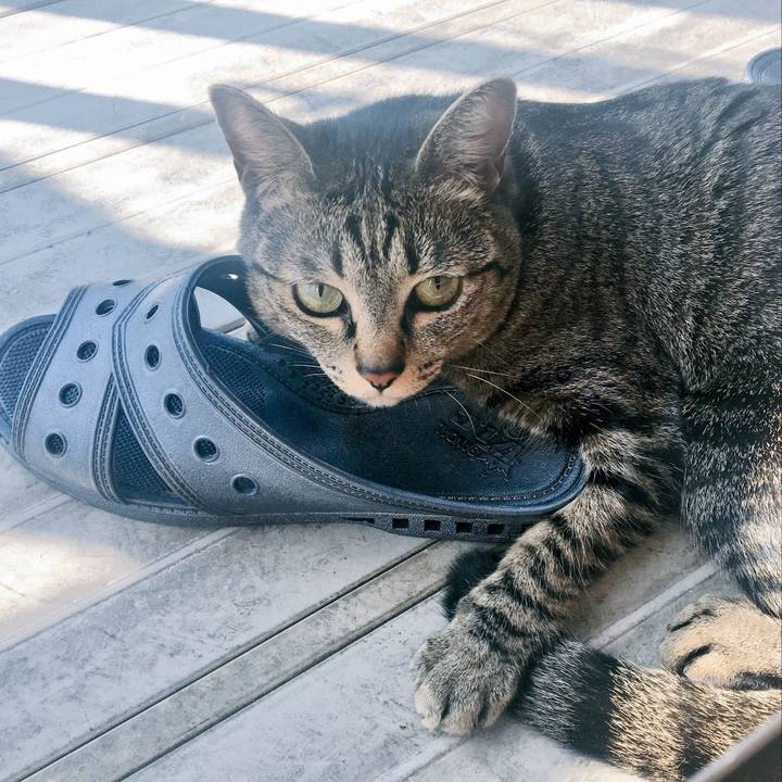 A5a23926 d50f 4f58 82e3 41e911150e8e 1525478761250