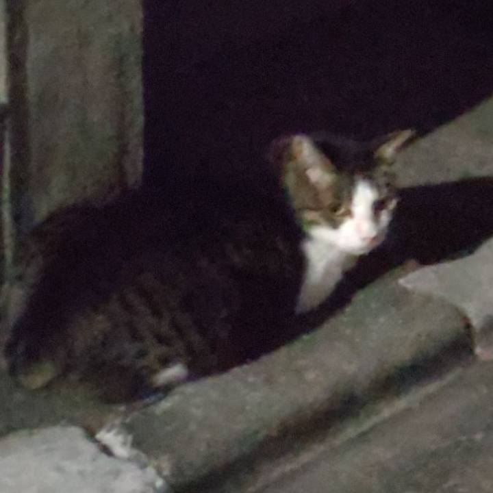 A5a23f7b f7f4 4118 a2cd 73020c6653ac 1660882885772