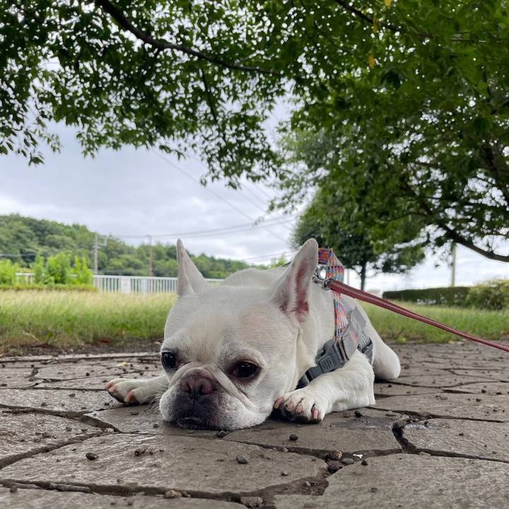 A5a267c7 58d2 4f3e a91e c81715f030be 1752367031448